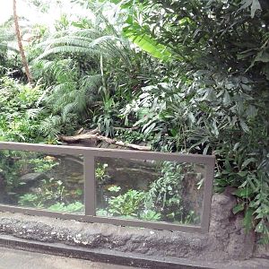 African Pavilion - Tropical Plants But Zero Animals