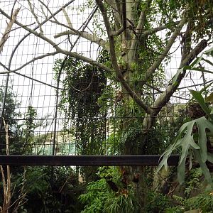 African Pavilion - Tropical Plants But Zero Animals