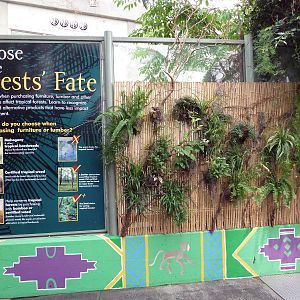 African Pavilion - Tropical Plants But Zero Animals