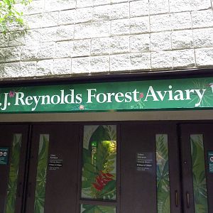 Forest Aviary - 35 Bird Species