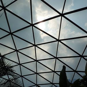 Forest Aviary - 35 Bird Species