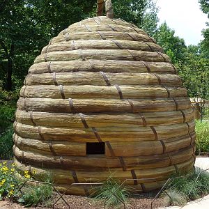 Honey Bee Garden - Hive