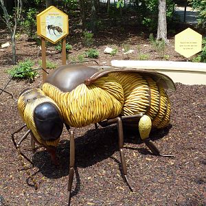 Honey Bee Garden - Giant Bee