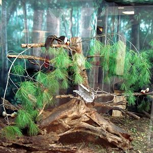 Discovery Barn-Prevost's Squirrel Exhibit
