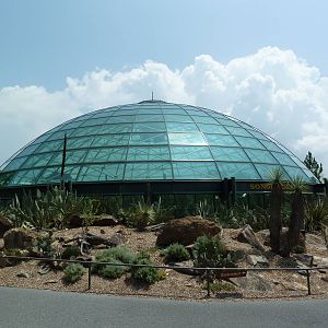 Sonora Desert Building