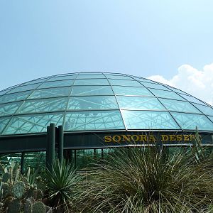 Sonora Desert Building
