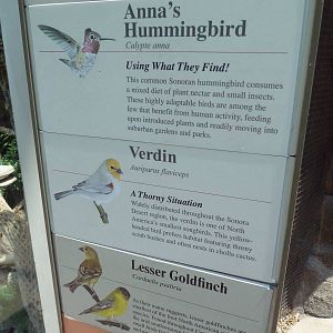 Sonora Desert Building - Free-Flying Birds - Signage