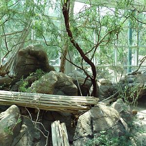 Sonora Desert Building