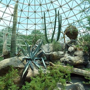 Sonora Desert Building