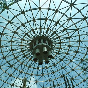 Sonora Desert Building