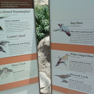 Sonora Desert Building - Free-Flying Birds - Signage