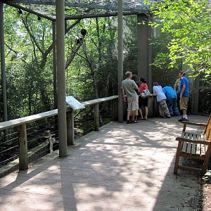Australia-Tree Kangaroo Exhibit