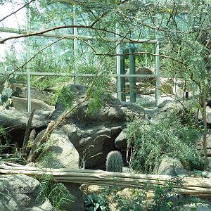 Sonora Desert Building