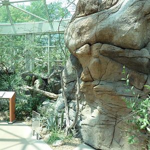 Sonora Desert Building