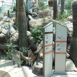 Sonora Desert Building