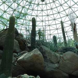 Sonora Desert Building