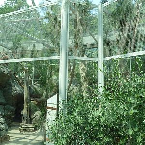 Sonora Desert Building