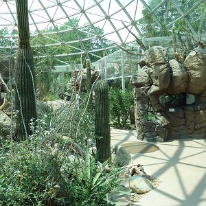 Sonora Desert Building