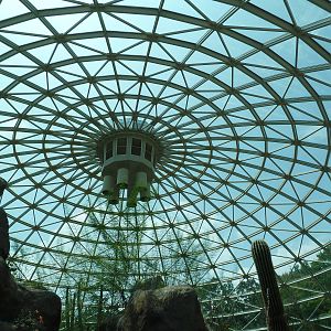 Sonora Desert Building