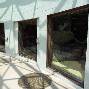 Sonora Desert Building - Ocelot Exhibit