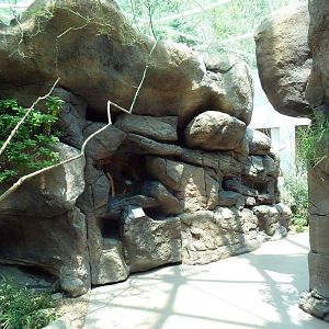 Sonora Desert Building - Terrariums