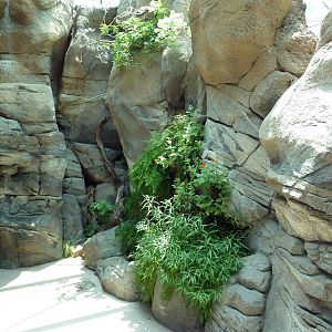 Sonora Desert Building