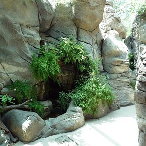 Sonora Desert Building