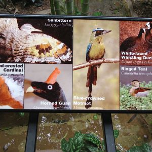 Tropical Forest Signage