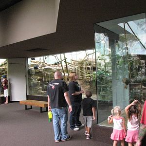 Primate House Interior Walkway
