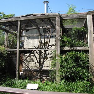 Exterior Primate Enclosures