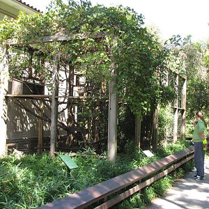 Exterior Primate Enclosure