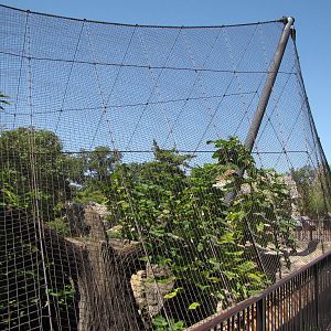 Snow Leopard Exhibit - Big Cat Country