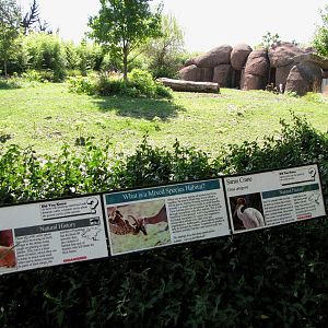 Mixed Habitat - Red Rocks