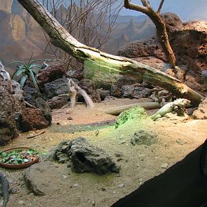 North American Desert