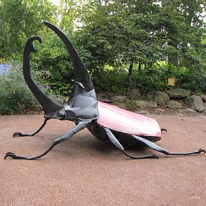 Giant Rhinoceros Beetle Sculpture