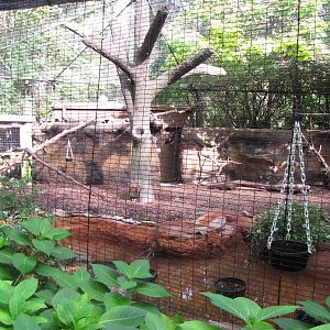Black and White Ruffed Lemur Enclosure - Childrens Zoo