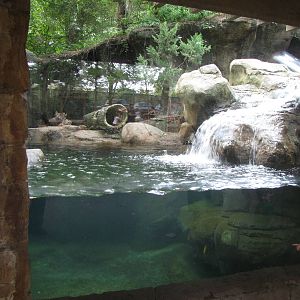 Otter Exhibit - Children's Zoo