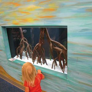 Aquarium Display - Children's Zoo
