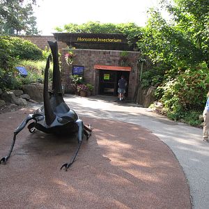 Monsanto Insectarium