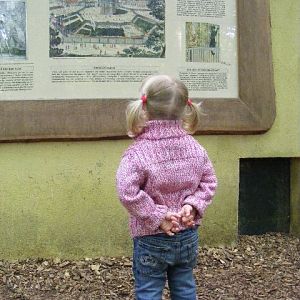 Becoming a zoo fan - Lesson one