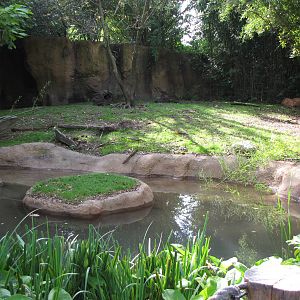 Capybara/Giant Anteater Habitat