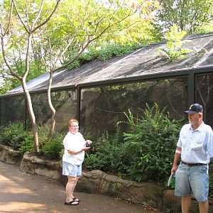 Carmine Bee-eater Aviary