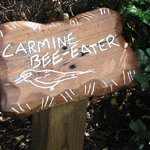 Carmine Bee-eater Signage - Rivers Edge