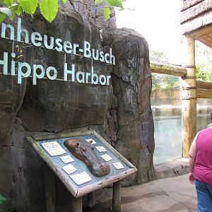 Hippo Harbor