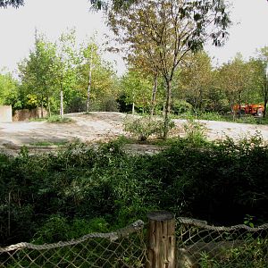 Asian Elephant Habitat - Rivers Edge