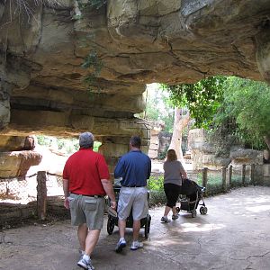 Asian Elephant Habitat - Rivers Edge