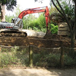Asian Elephant Habitat Renovations