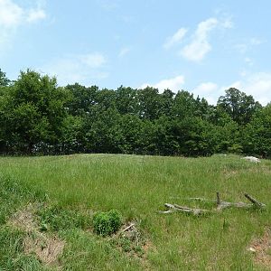 11-Acre Bison/Elk Exhibit
