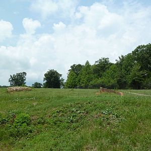 11-Acre Bison/Elk Exhibit