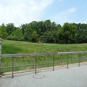 11-Acre Bison/Elk Exhibit